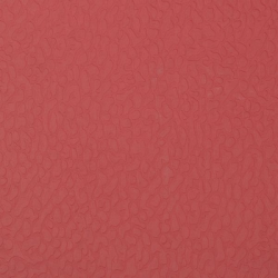 Спортивный линолеум Apoluza GEM 6.5 Красный