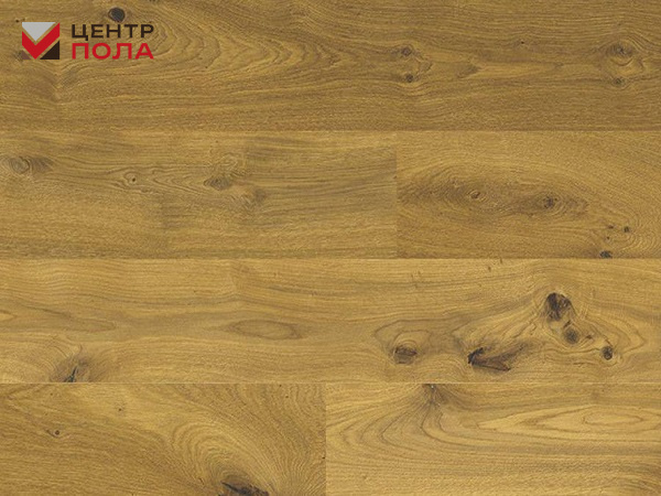 Пробковое покрытие CorkStyle Wood XL Glue Oak Knotty