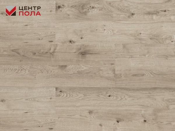 Клеевое пробковое покрытие CorkStyle WOOD Oak Grey